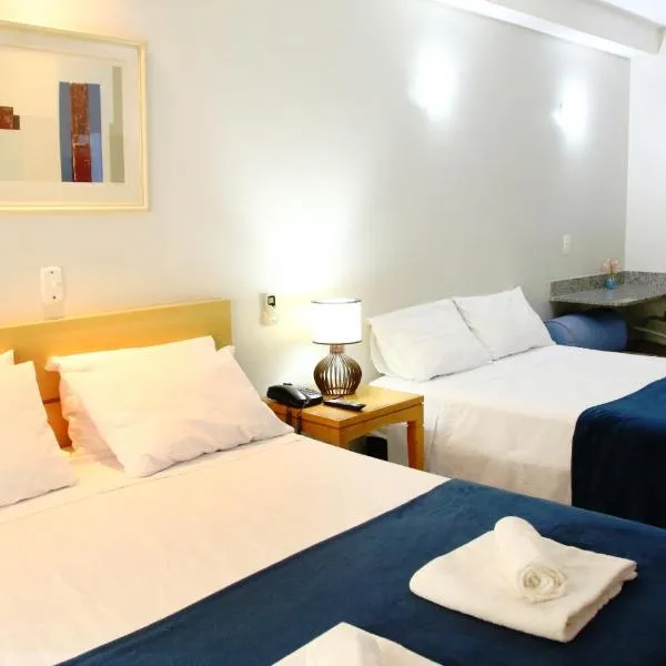 Flats em frente ao Allianz Parque - HOTEL EM PERDIZES，位于圣保罗的酒店