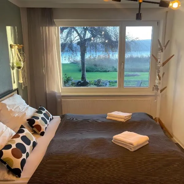 Seezauber direkt am Wasser，位于赖兴瑙的酒店