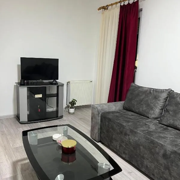 Apartman Gajić，位于洛兹尼察的酒店