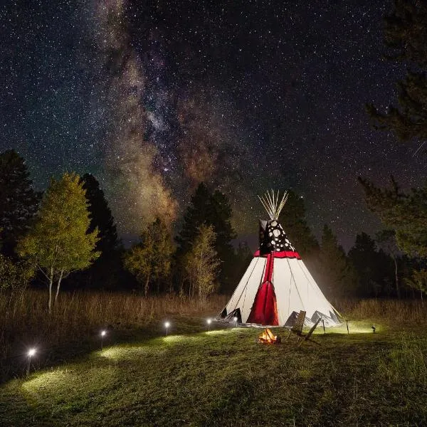 Starlight Retreat Yellowstone，位于艾兰帕克的酒店