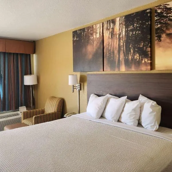 里斯维尔戴斯酒店，位于Leesville的酒店