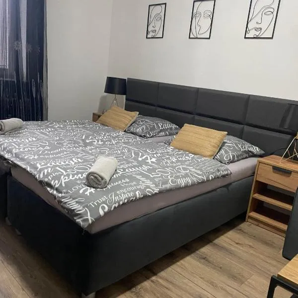Černá Růže - Apartmán 4，位于比尔森的酒店