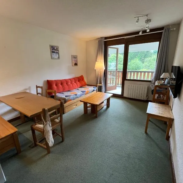 Appartement PRAZ DE LYS TMB，位于塔南日的酒店