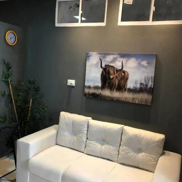 Portuga Flat - Olinda，位于奥林达的酒店