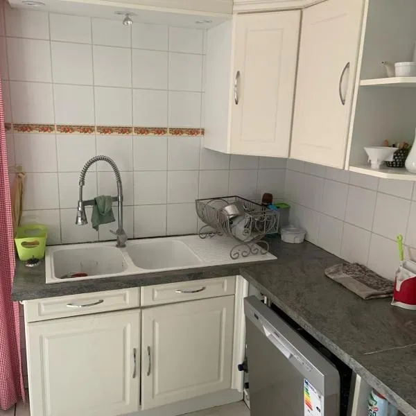 les amandiers，位于萨勒斯勒沙托的酒店