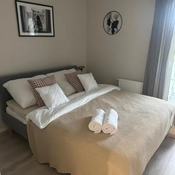 Apartament 9 Rydzyna，位于Rydzyna的酒店