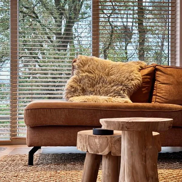 Chalet-Hellendoorn met Hot tub en Sauna，位于Haarle的酒店