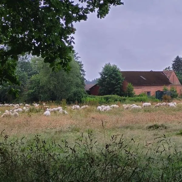 Wunschhof the dreaming farmhouse，位于维梅河畔罗滕堡的酒店