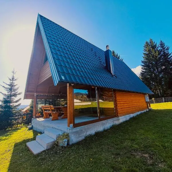 Forest House Bukva，位于Ravne的酒店