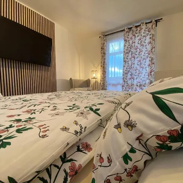 Apartmán Vráž u Písku，位于皮塞克的酒店