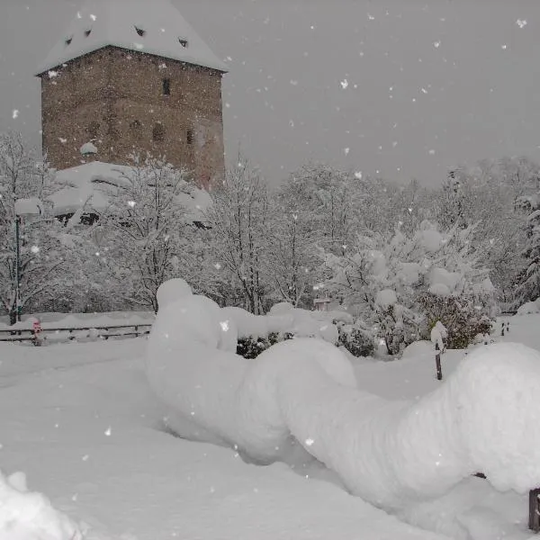 Ferienhaus-Römerthurm，位于Schöder的酒店