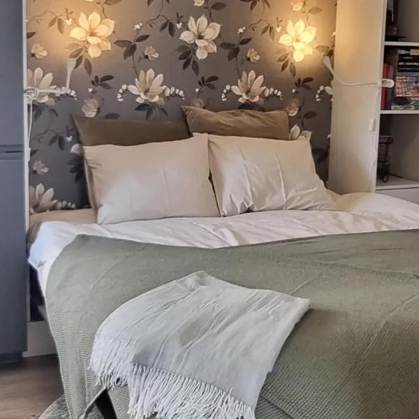 Mysig 1a med Minispa, 20 min från Kinnekulle，位于约特讷的酒店