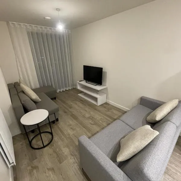 Modern 1-Bedroom Apartment in Wembley Park，位于伦敦的酒店