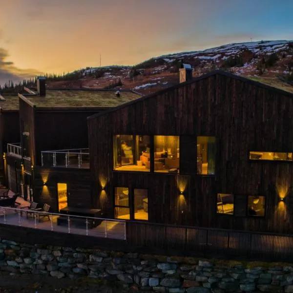 Trilodge - Unique cabin with high standard, views, ski in & out, attractive location，位于Meråker的酒店