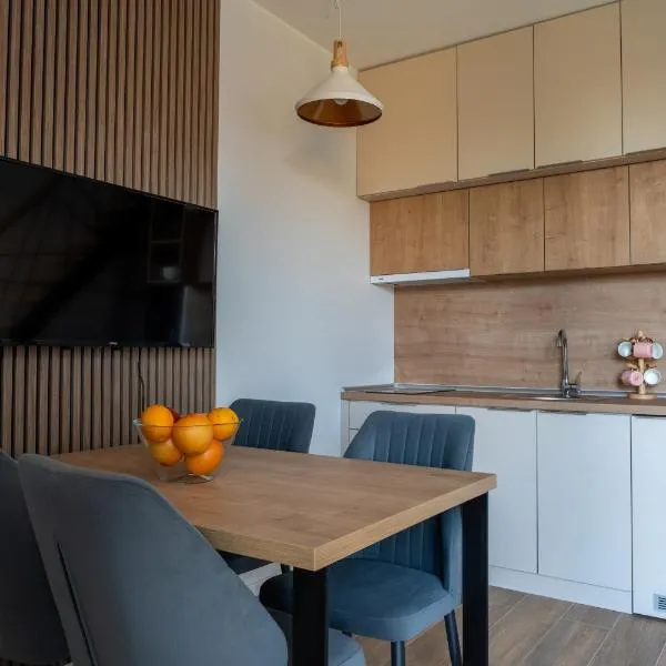Apartman Nina，位于科帕奥尼克的酒店