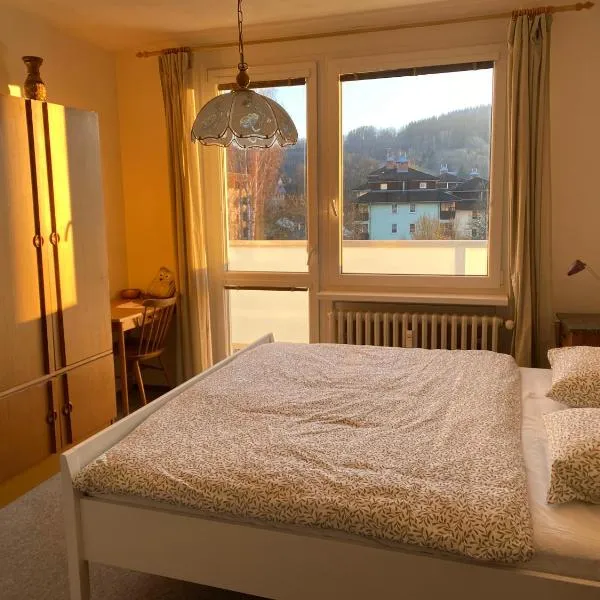 Apartmán Pod Studenou Horou，位于捷克布杰约维采的酒店