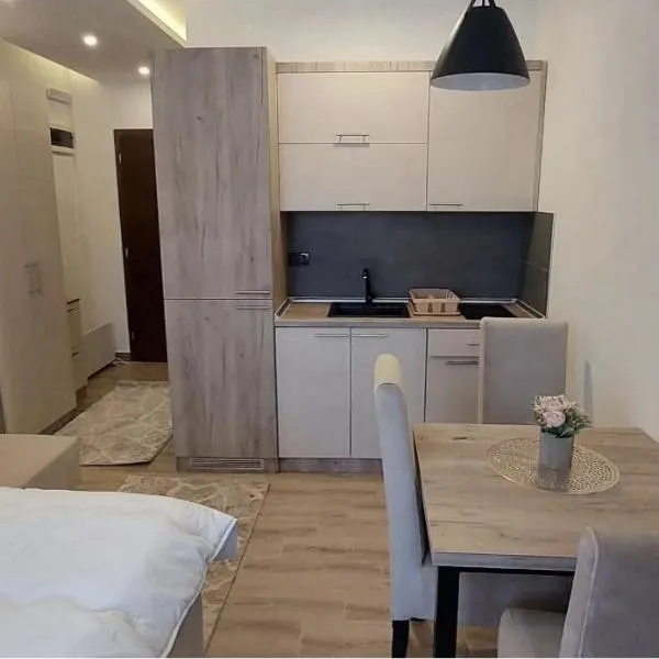 Nikola Residence Hill，位于Raška的酒店