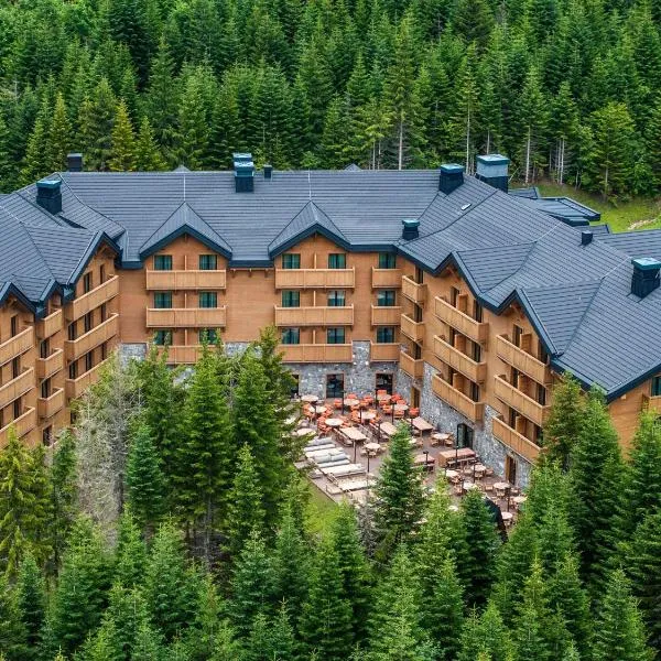 Swissôtel Resort Kolasin，位于Paljevine的酒店