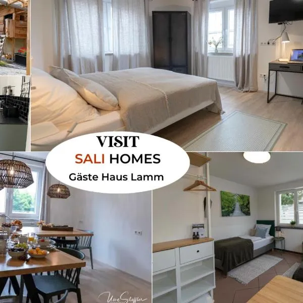 Sali Homes - GaesteHaus Lamm Obersulm，位于Obersulm的酒店