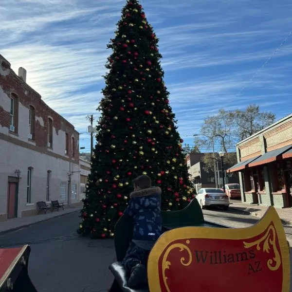 Cozy Cabin in the Pines! Close to the Polar Express, Grand Canyon & Bearizona，位于威廉姆斯的酒店