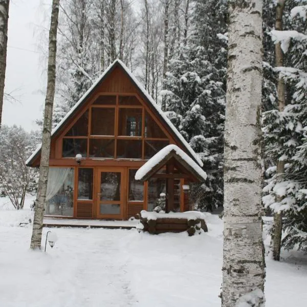 Holiday Home Bērzlejas，位于Uguņi的酒店