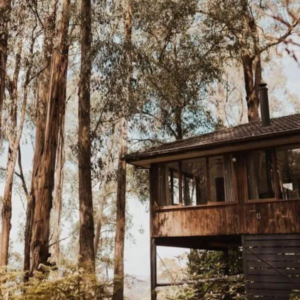 Forest Retreat，位于Upwey的酒店