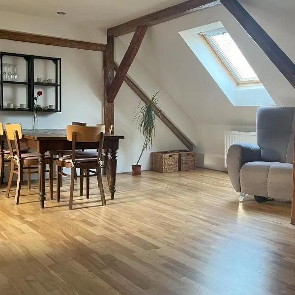 Apartmán MUV，位于梅尔尼克的酒店
