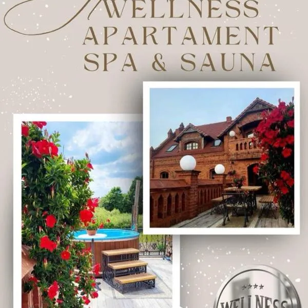 Wellness Apartment, Spa i Sauna，位于Mieszkowice的酒店