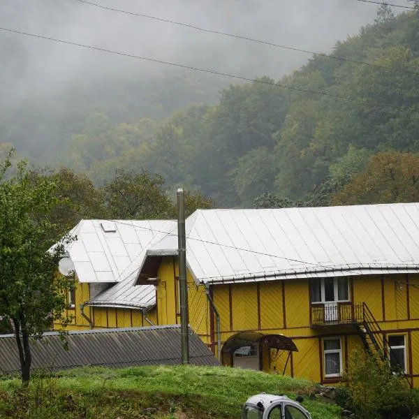 Дім з видом на гори.，位于Pidzakharychi的酒店