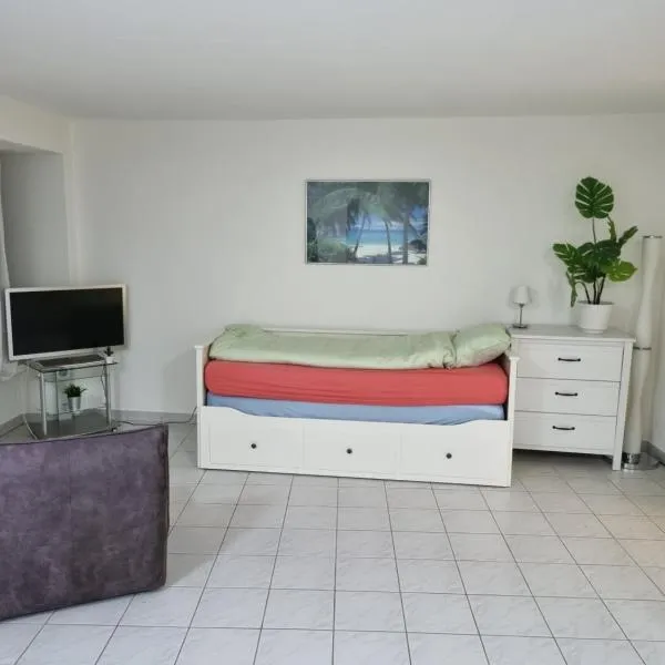 Top Wohnung，位于巴登的酒店