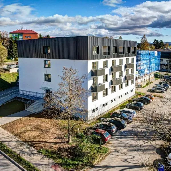 Ubytování Slavičan，位于Slavičín的酒店