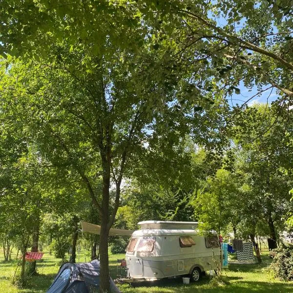 Camping Biologico La Buona Terra，位于Saccolongo的酒店