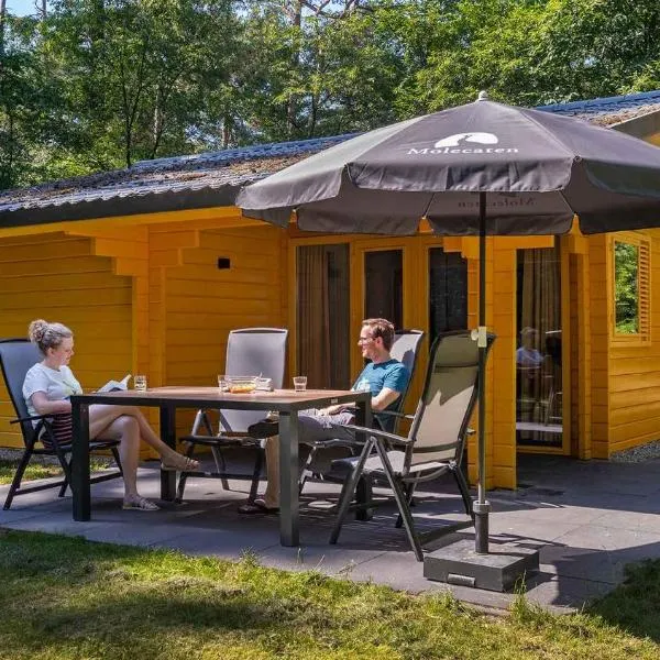 Molecaten Park Landgoed Ginkelduin，位于莱尔瑟姆的酒店