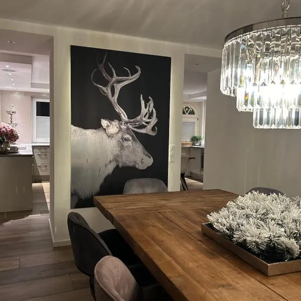 Romantikchalet Neuastenberg/Winterberg，位于温特贝格的酒店