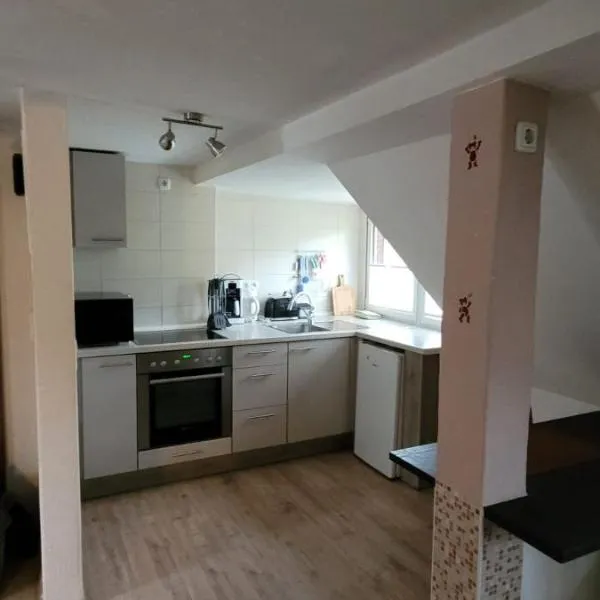 Ferienwohnung Zur Ölmühle " Hofhaus"，位于Steinsfeld的酒店