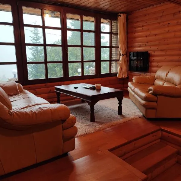 ''Nest'' The Wooden Suite by Ski Alure，位于埃普塔罗弗斯的酒店