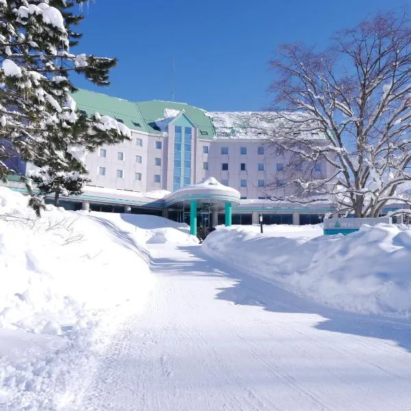 Biei Shirogane Onsen Hotel Park Hills，位于Biei的酒店