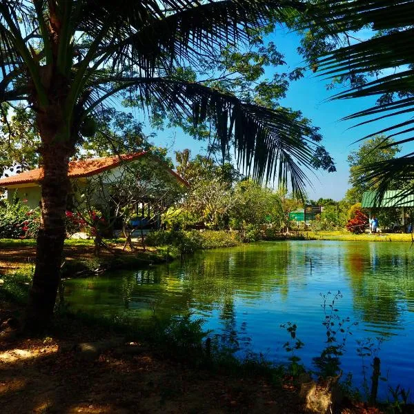 Tea Tree House in Chiang Mai，位于清迈的酒店