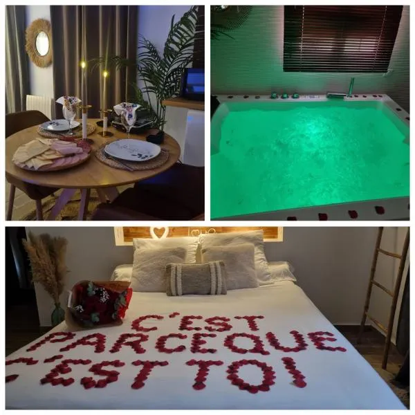 L'ÉVASION ROMANTIQUE suite de luxe avec spa privé à 20min de Paris，位于瓦兹河畔欧韦的酒店