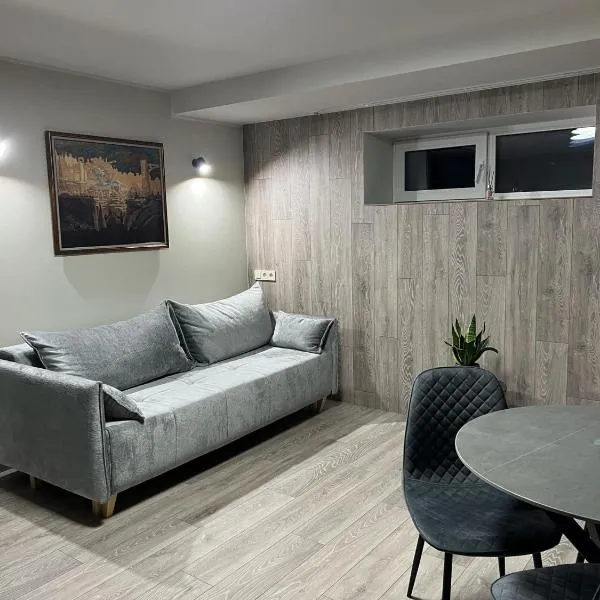 Saules street apartments Klaipeda，位于克莱佩达的酒店