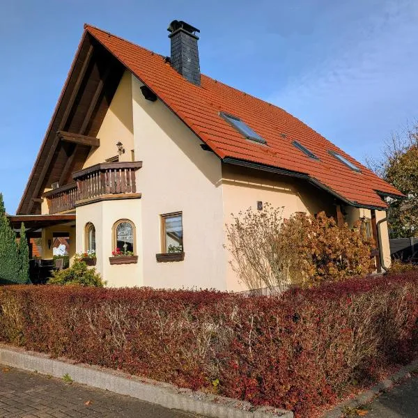 Schöne 2-Raumwohnung inklusive Infrarot-Wärmekabine，位于Großröhrsdorf的酒店