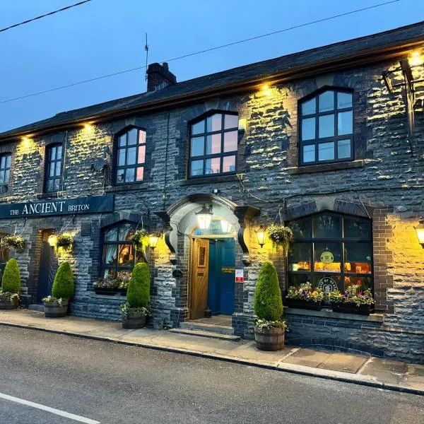 The Ancient Briton，位于PENYCAE的酒店