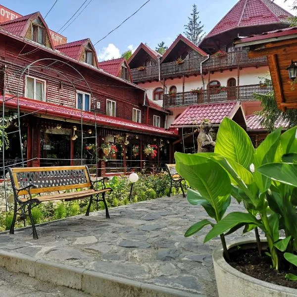 Pensiunea Cetate，位于巴尔瓦尼亚的酒店
