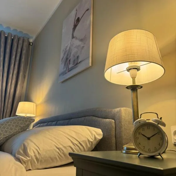 Jaukus apartamentas Birzu centre，位于比尔扎伊的酒店