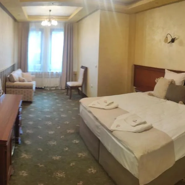 普拉维斯基汉诺维酒店，位于普拉韦茨的酒店