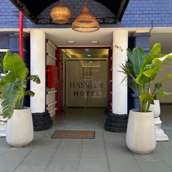 Hotel Hassler，位于亚松森的酒店