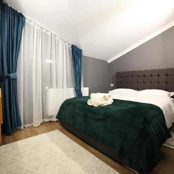 Pensiunea La Ancuța-n Bucovina，位于沃拉内特的酒店