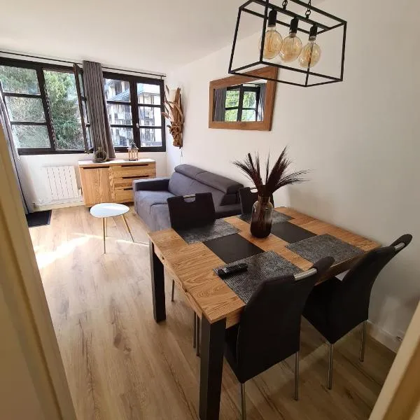 Appt Cosy au centre Chamonix，位于夏蒙尼-勃朗峰的酒店