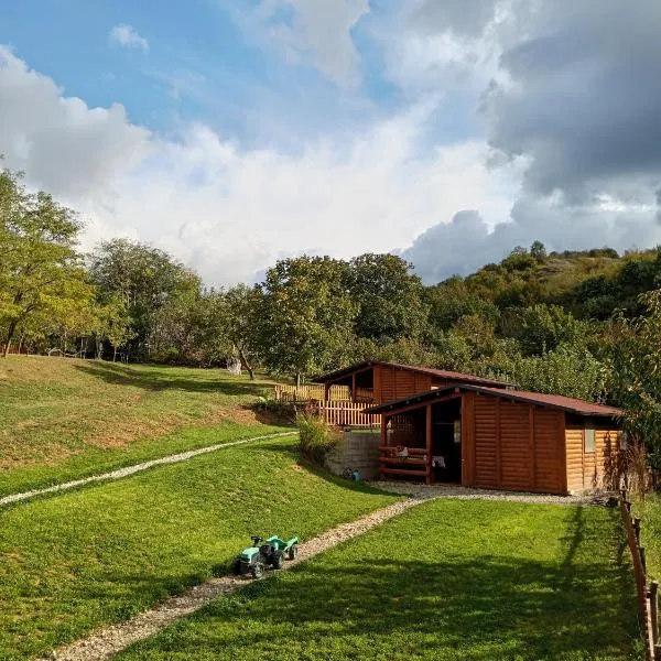 Brvnare Duguljac Fruška Gora，位于Bukovac的酒店