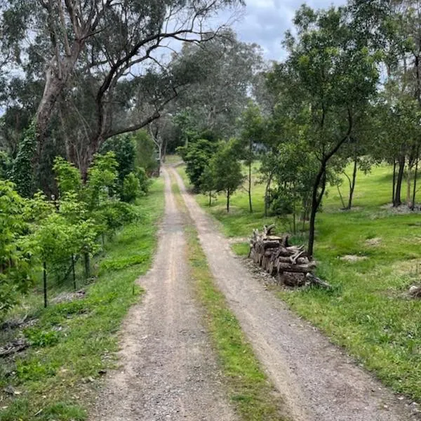 Spacious 4 bed, 2 lounge, 2 bath, Acre home with tree top views - Yarra Valley Gateway!，位于Warrandyte的酒店